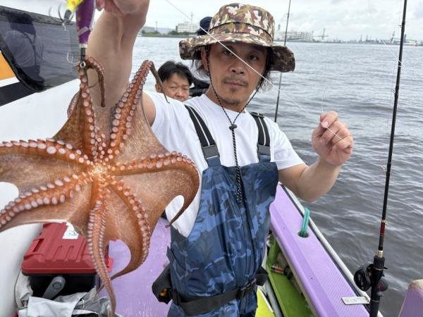 マダコ