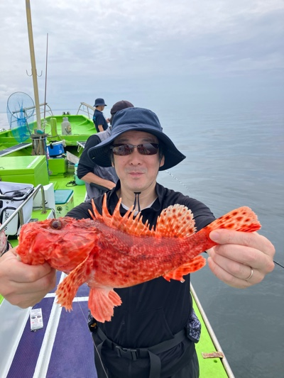 相模湾（神奈川県）で釣れたオニカサゴの最新釣果、釣り情報【2026年7月】
