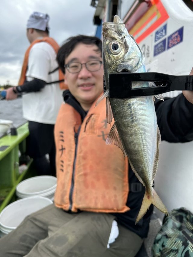 アジ(マアジ)