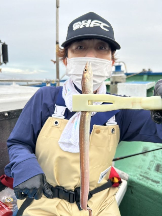 アナゴ(マアナゴ)