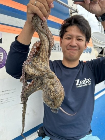 マダコ