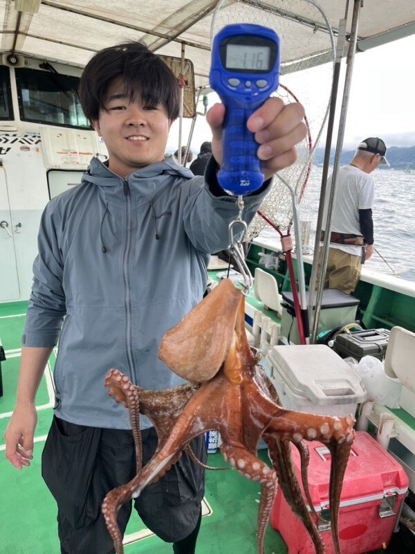 タコ(マダコ)