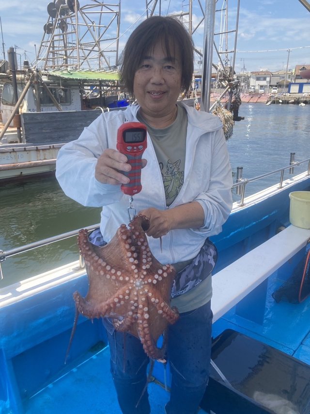 タコ(マダコ)