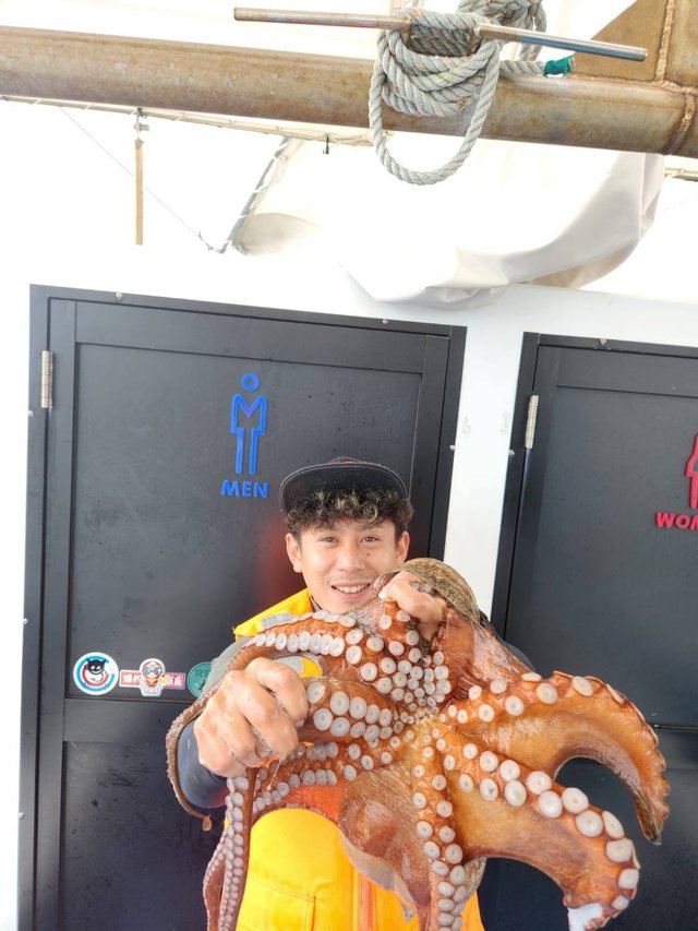 タコ(マダコ)