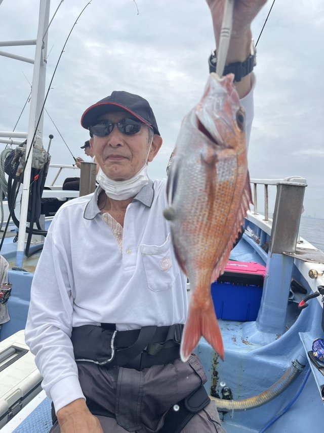 マダイ