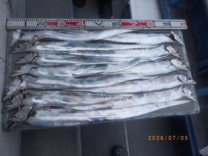 タチウオ
