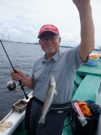 シロギス