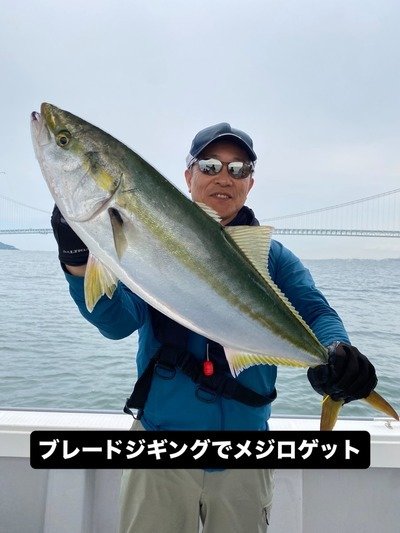 メジロ(ブリ)