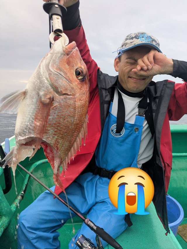 マダイ