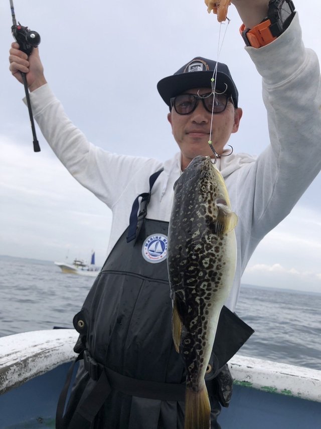 ショウサイフグ