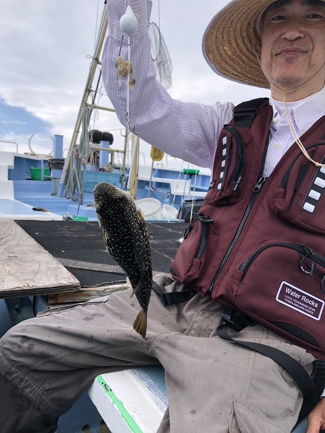 ショウサイフグ