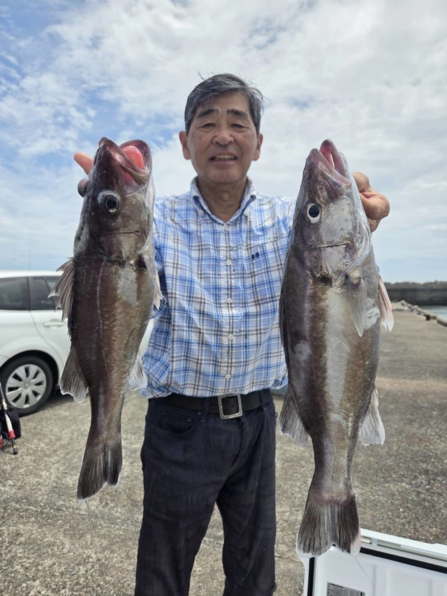 アラ