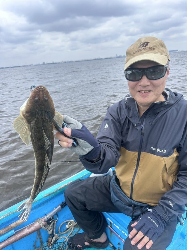マゴチ