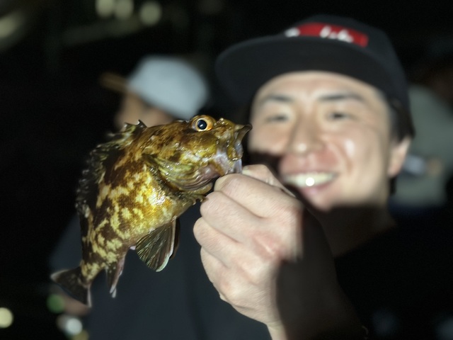 カサゴ