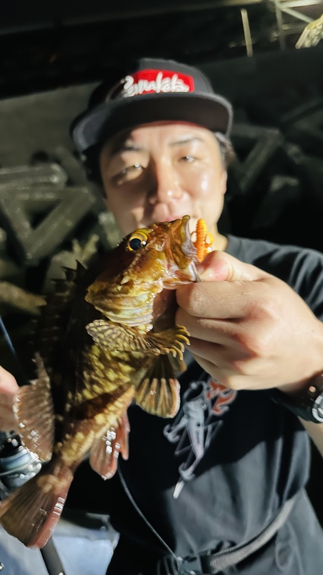 カサゴ
