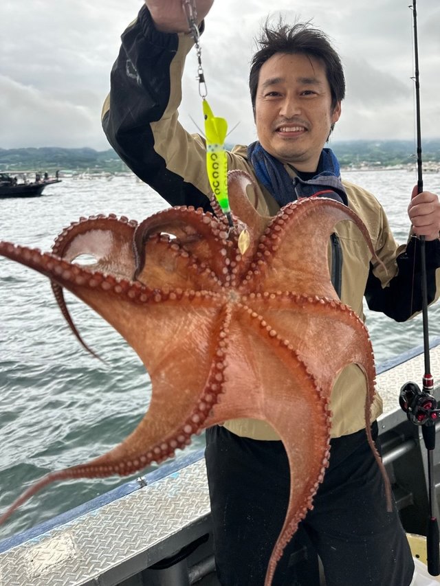 タコ(マダコ)