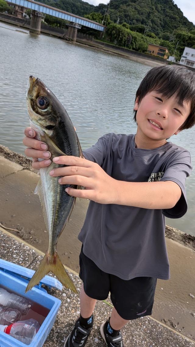 アジ(マアジ)