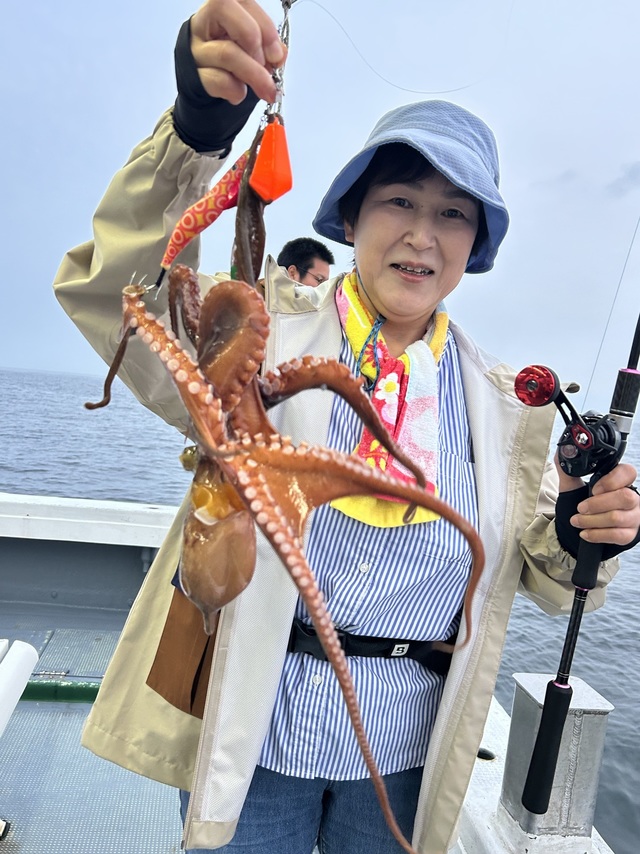 マダコ