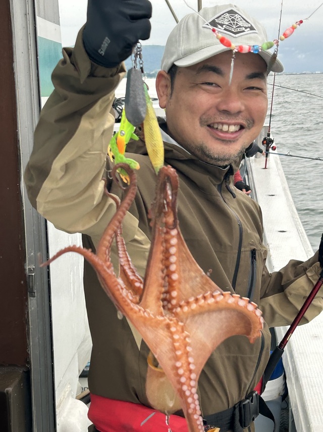 マダコ