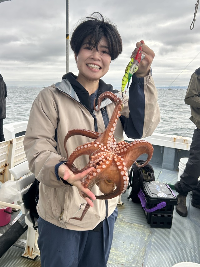 マダコ