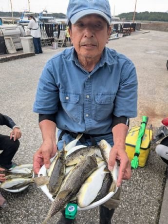 ショウサイフグ
