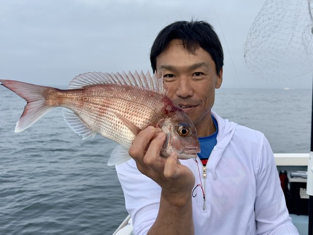 マダイ