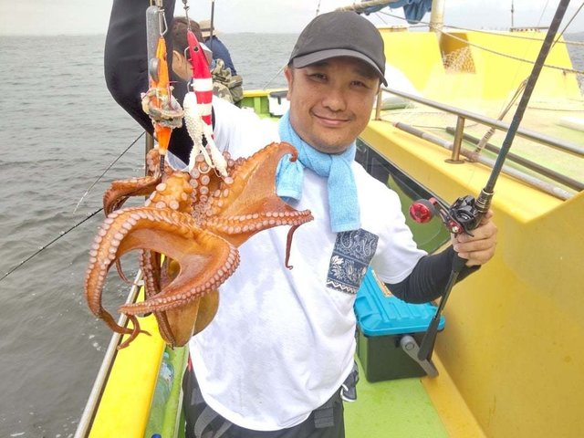 マダコ