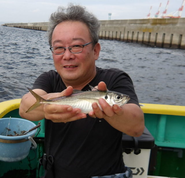 アジ(マアジ)