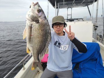 クロダイ