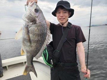 クロダイ