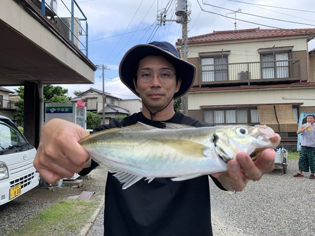 アジ(マアジ)