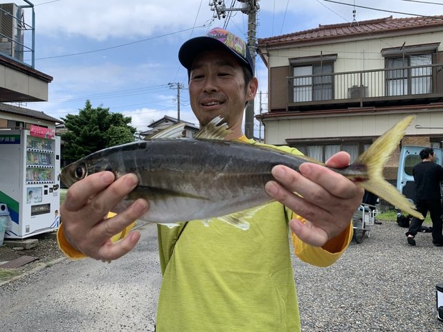 アジ(マアジ)