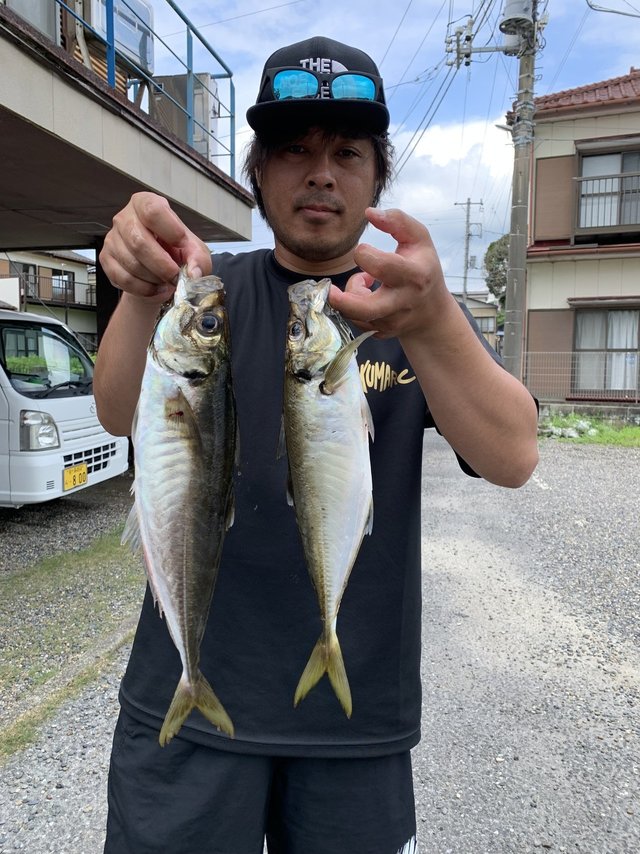 アジ(マアジ)