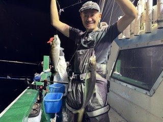 アジ(マアジ)