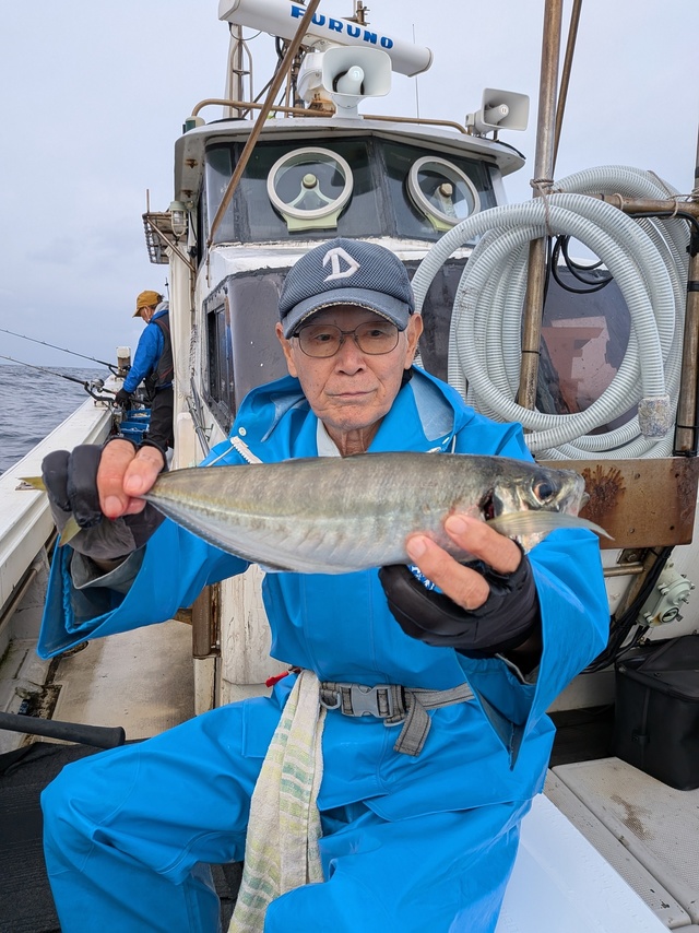 アジ(マアジ)