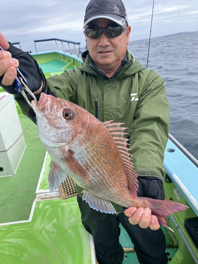 マダイ