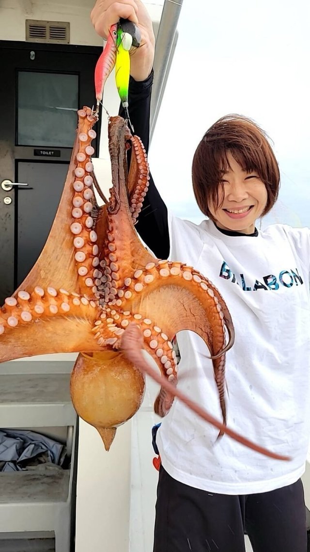 タコ(マダコ)