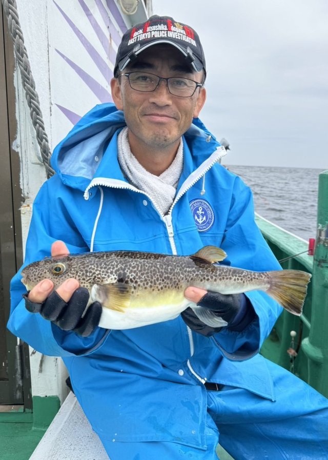 ショウサイフグ
