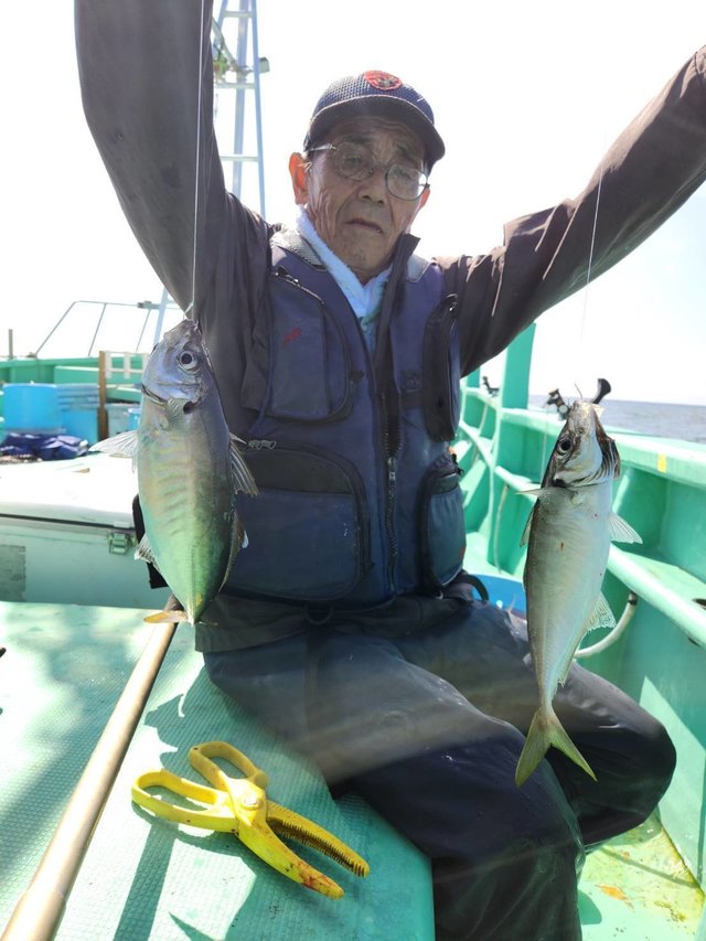 アジ(マアジ)