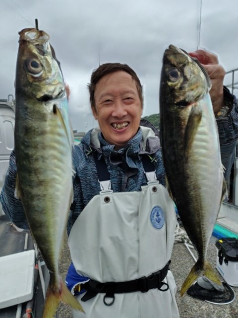 アジ(マアジ)