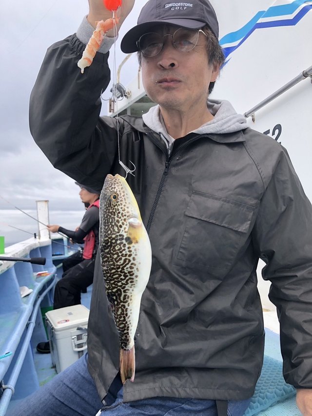 ショウサイフグ