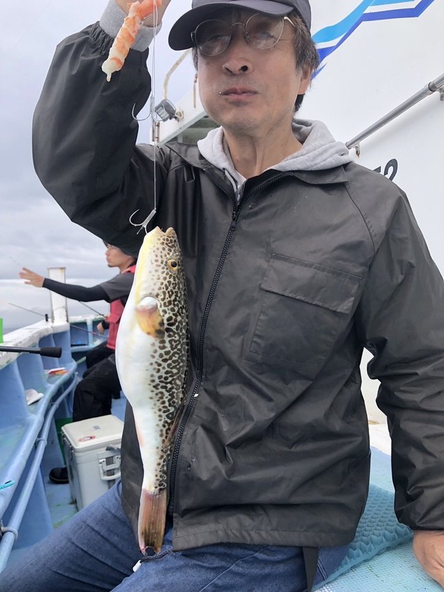 ショウサイフグ