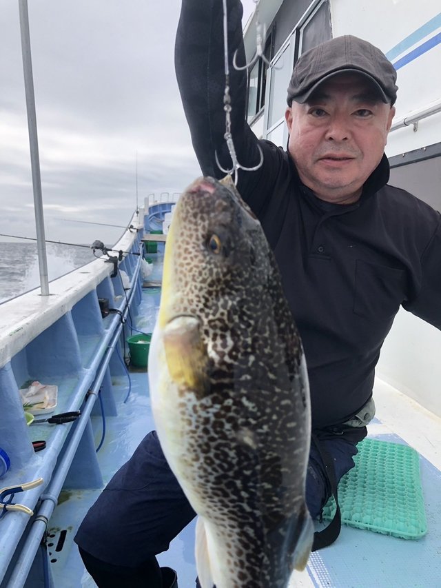 ショウサイフグ