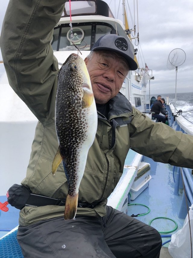 ショウサイフグ