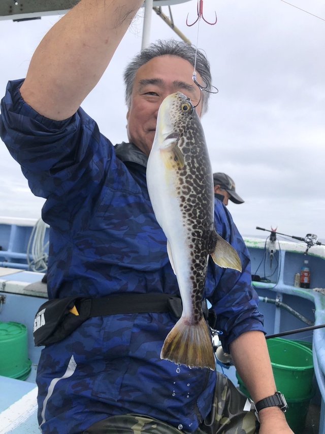 ショウサイフグ