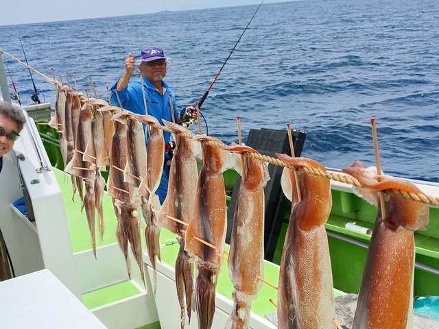 スルメイカ
