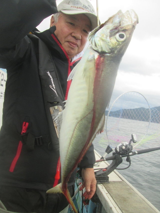 アジ(マアジ)