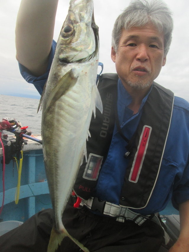 アジ(マアジ)
