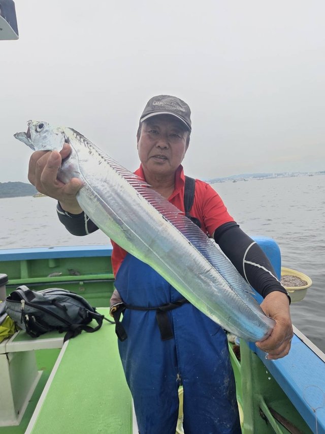 タチウオ