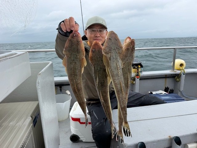 マゴチ